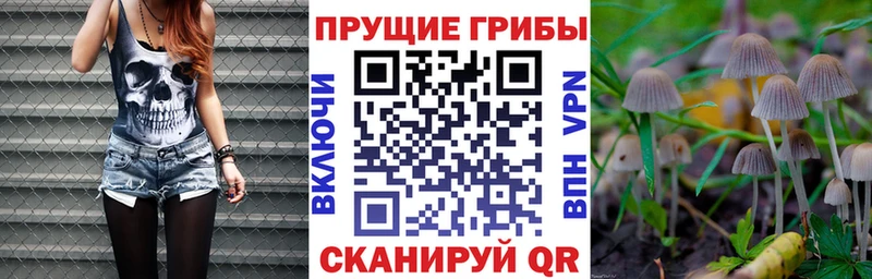 Галлюциногенные грибы Magic Shrooms  сайты даркнета как зайти  Усть-Кут 