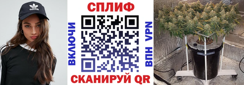 hydra tor  Усть-Кут  Марихуана тримм 